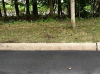 Eaco Chem - C-Tar Melt, used on Concrete Curb.