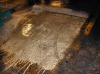 Eaco Chem - Stripsol LO, used on Concrete.