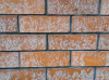 Eaco Chem, Barium Deposit on Brick, use OneRestore.
