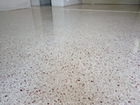 Terrazzo Polish w 800 - 1500 Natural Stone Grit, after using Transitional Pads.