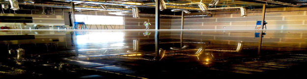 "Advantage" Diamond Tooling for Concrete Polishing.