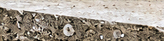 Concrete & Overlay