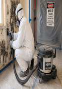Mold & Lead Paint Removal