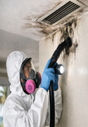 Mold & Lead Paint Removal