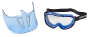 Goggle_FSD.png (45073 bytes)