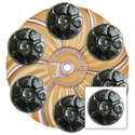15" Hex Plate w Super Clutch & (6) Polishing Pads.