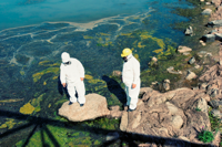 Environmental & Regulatory Concerns